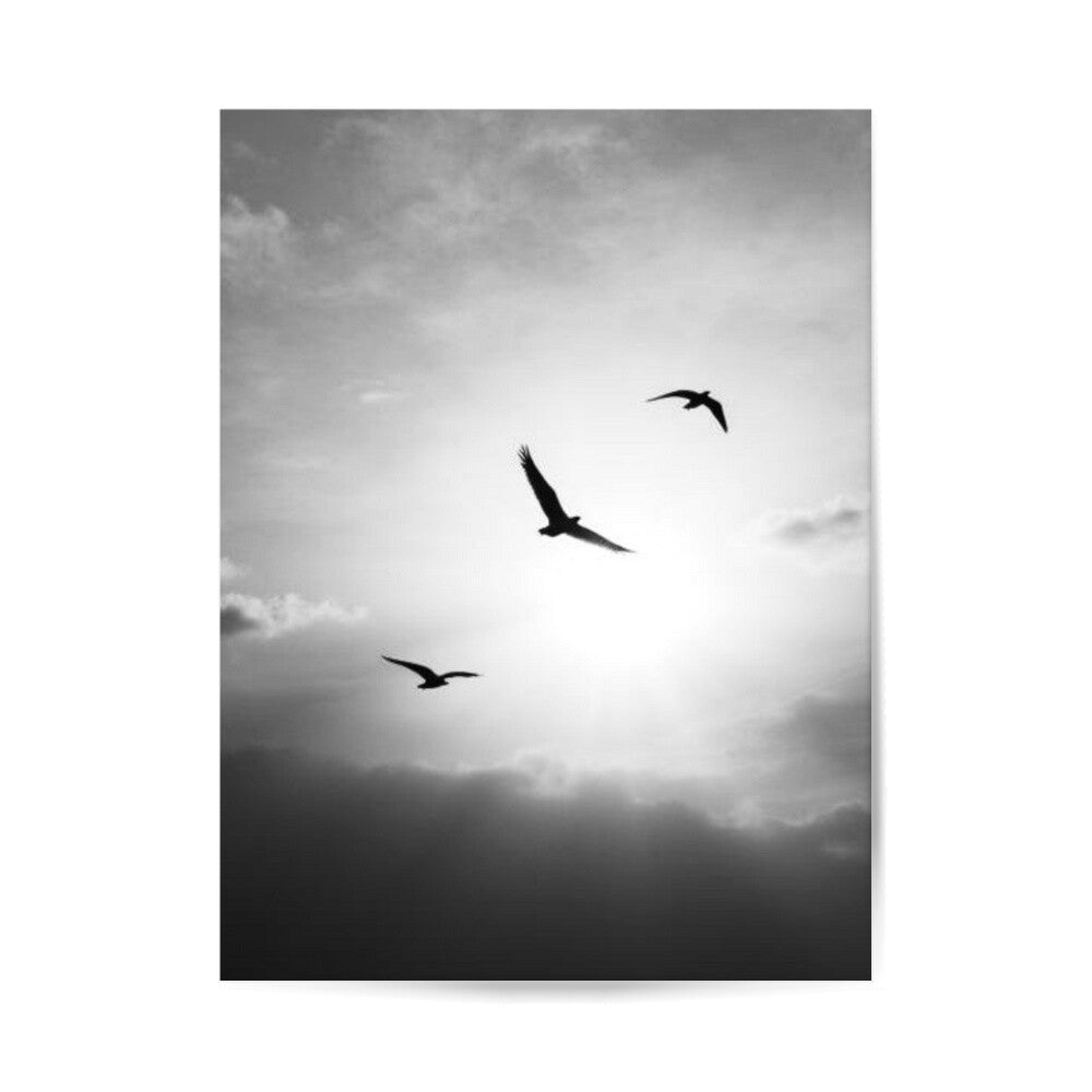 Image for size: 30cm x 40cm