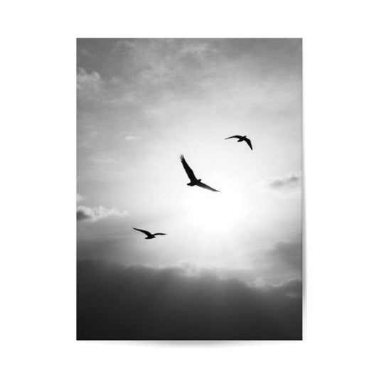 Image for size: 30cm x 40cm