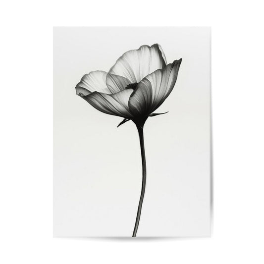 Boatnisches Poster, Minimalistisches Design, Schlichte Dekoration, Mohnblume Poster, Florales Design, Poster für Zuhause, Poster für Küche Esszimmer Schlafzimmer Wohnzimmer 