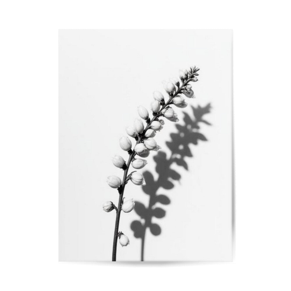 Boatnisches Poster, Minimalistisches Design, Schlichte Dekoration, Schneebere Poster, Florales Design, Poster für Zuhause, Poster für Küche Esszimmer Schlafzimmer Wohnzimmer 